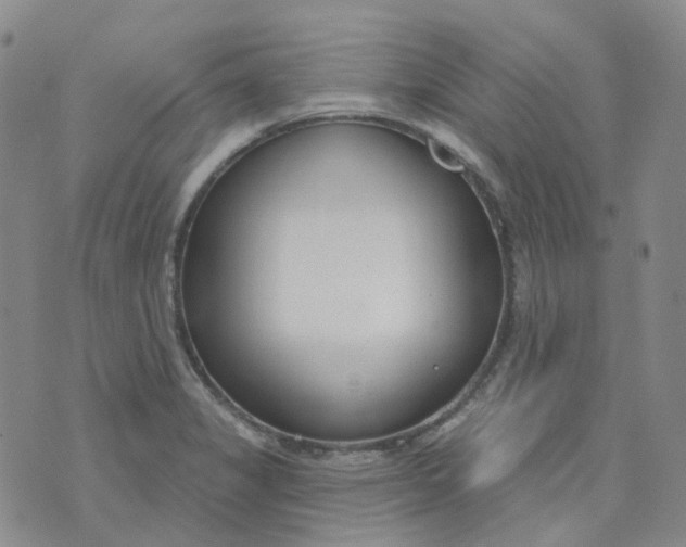 X0000073931325200609011824