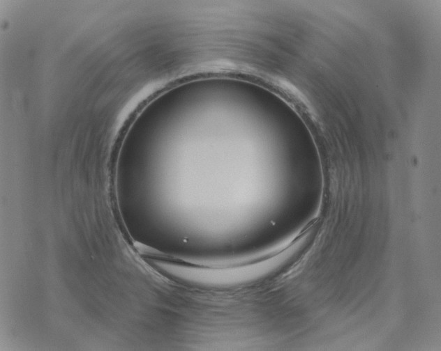 X0000073931326200609011824