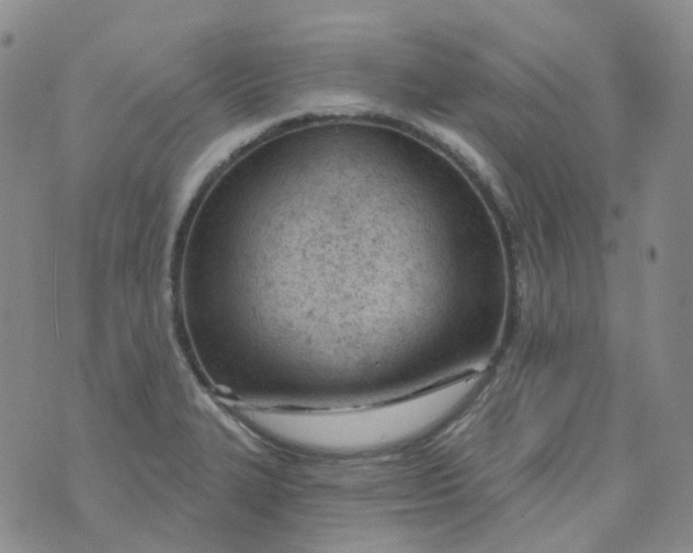 X0000073931327200609011824