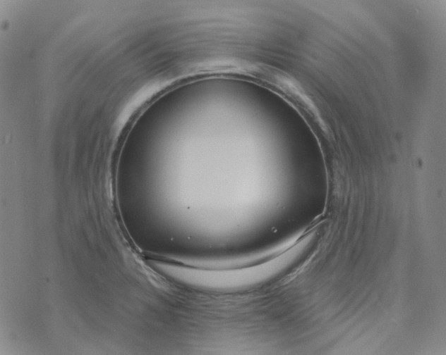 X0000073931328200609011824