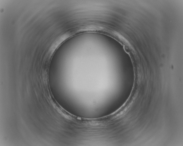 X0000073931329200609011824