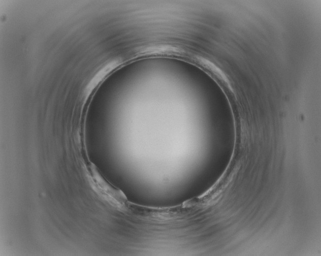 X0000073931330200609011825