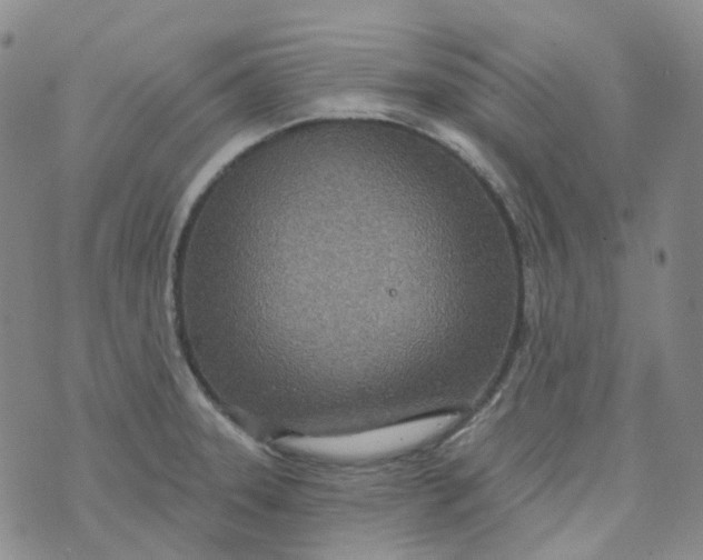 X0000073931331200609011825