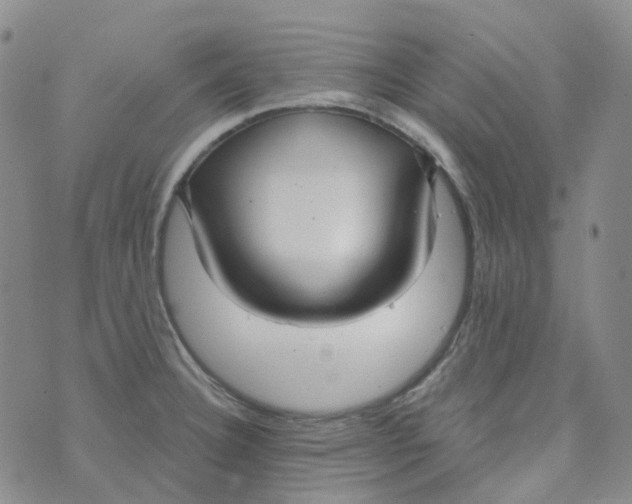 X0000073931332200609011825