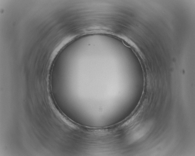 X0000073931333200609011825