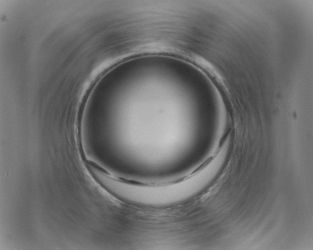 X0000073931334200609011825