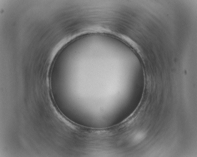 X0000073931335200609011825