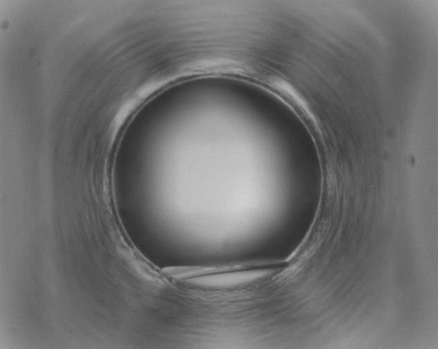 X0000073931336200609011825