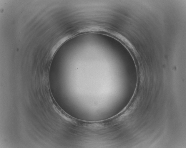 X0000073931337200609011825