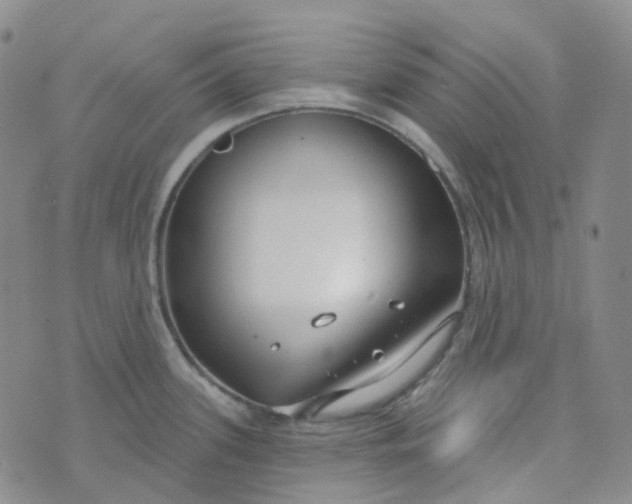 X0000073931339200609011825