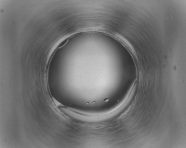 X0000073931340200609011825