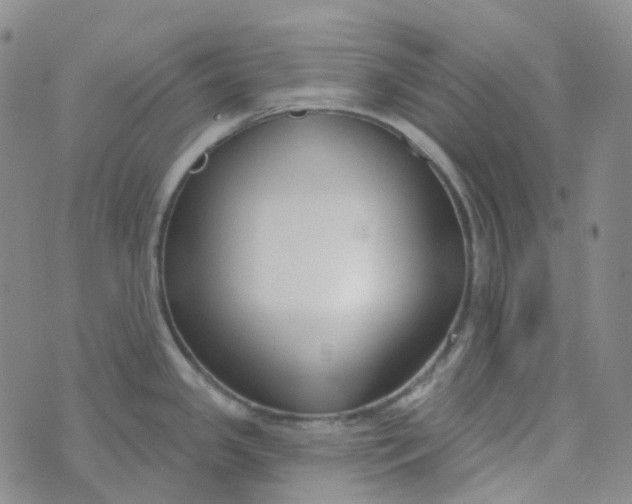 X0000073931341200609011825