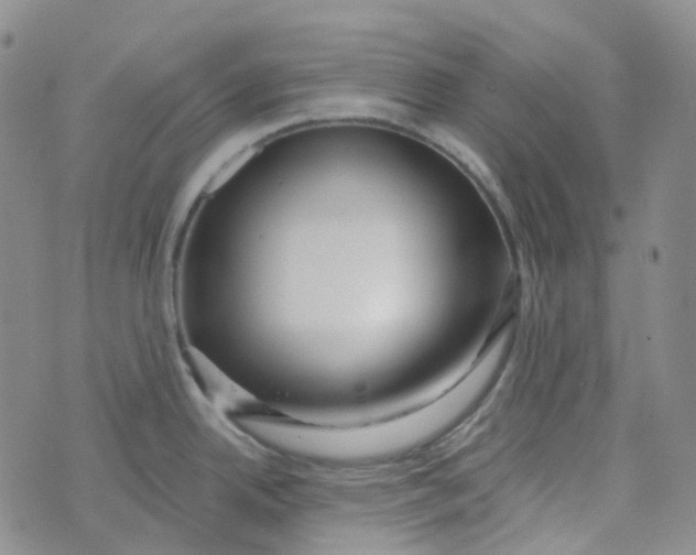 X0000073931342200609011825