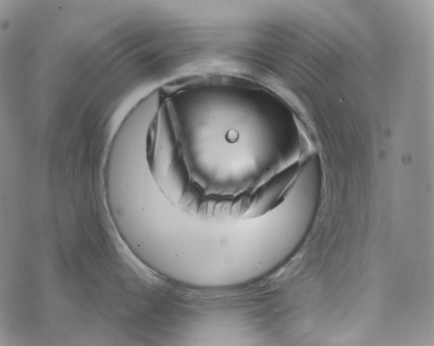 X0000073931344200609011825