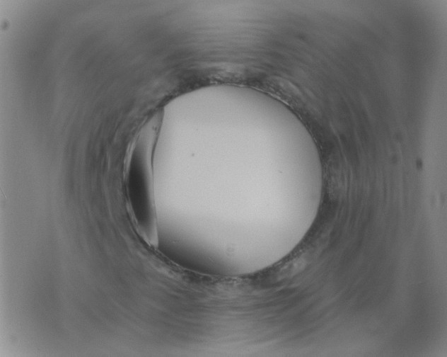 X0000073931345200609011824