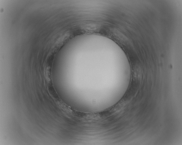 X0000073931346200609011824