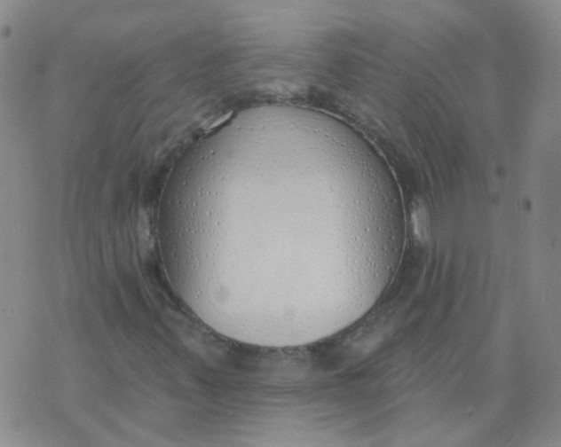 X0000073931347200609011824