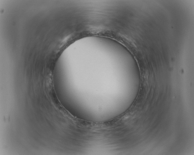 X0000073931349200609011824