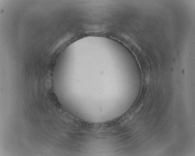 X0000073931350200609011824