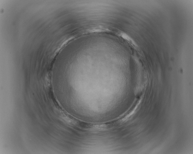 X0000073931353200609011824