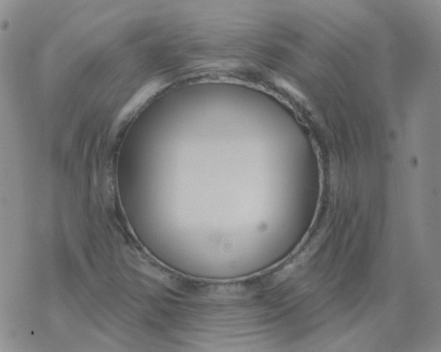 X0000073931354200609011824