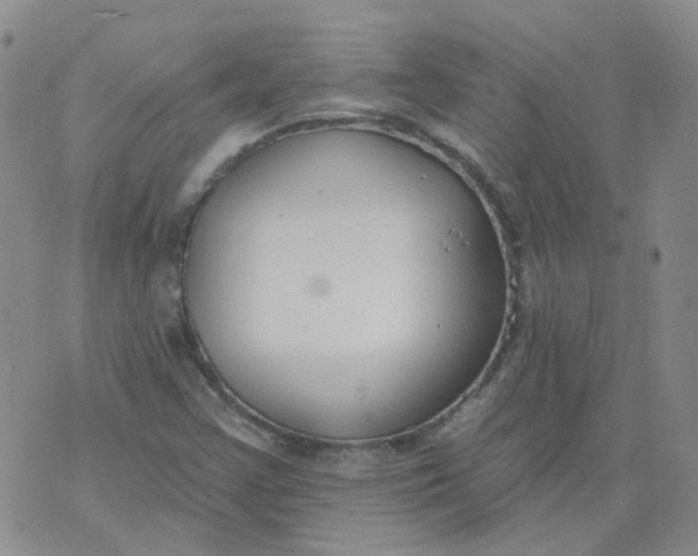 X0000073931355200609011824