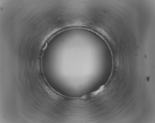 X0000073931356200609011824