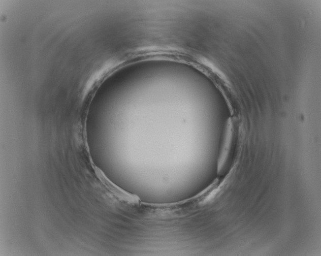 X0000073931357200609011824