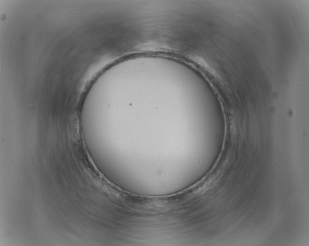 X0000073931358200609011824