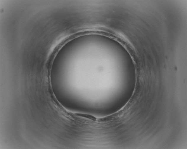 X0000073931360200609011824