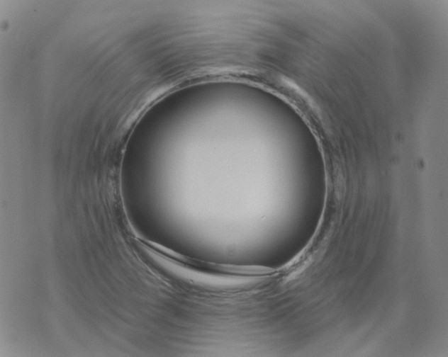 X0000073931361200609011824