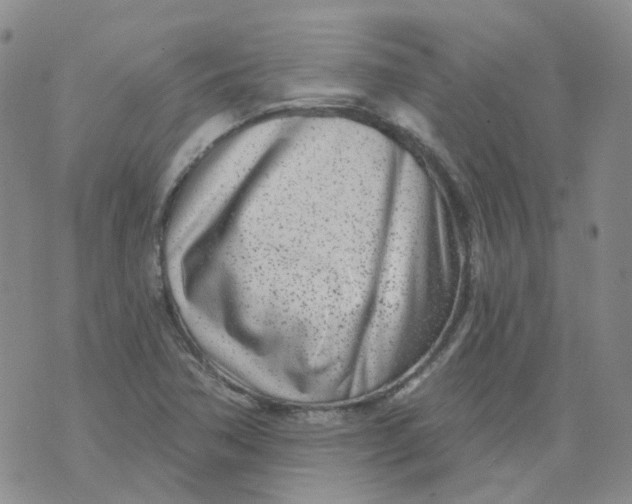 X0000073931362200609011824