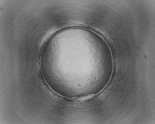 X0000073931363200609011824