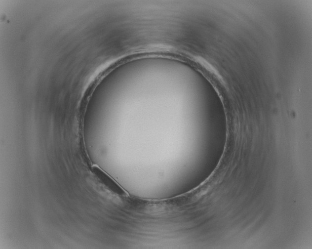 X0000073931364200609011824