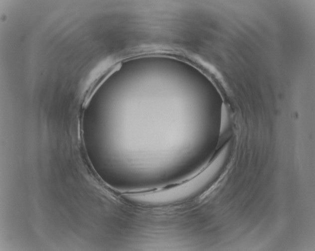 X0000073931365200609011824