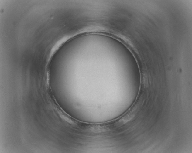 X0000073931366200609011824