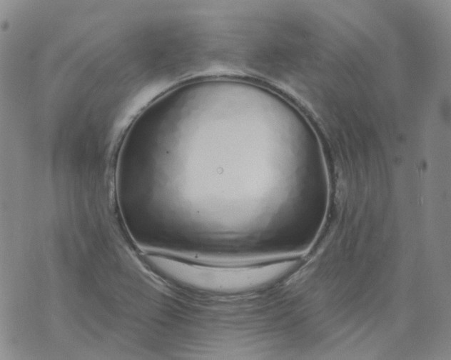 X0000073931367200609011824