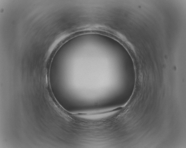 X0000073931368200609011824