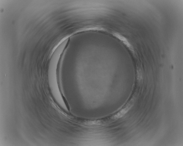 X0000073931369200609011824