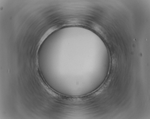 X0000073931370200609011824