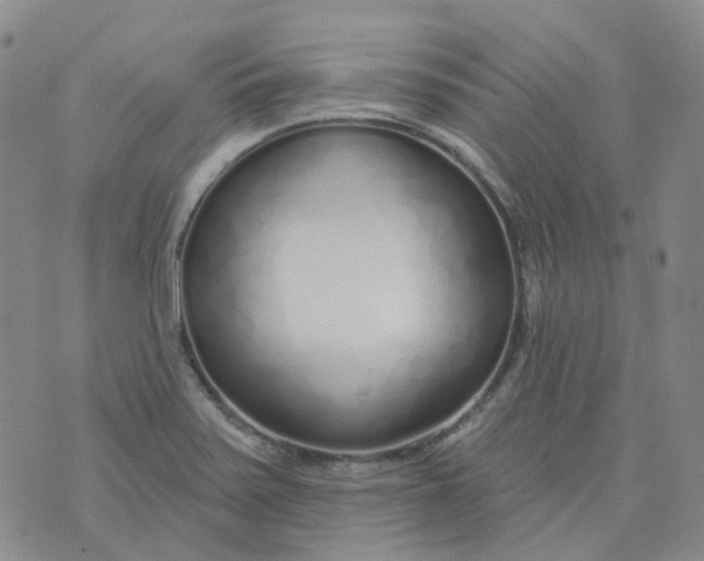 X0000073931371200609011824