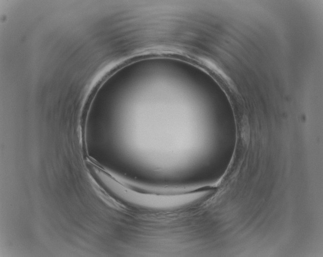 X0000073931372200609011824