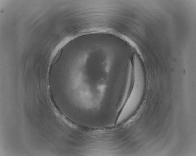 X0000073931373200609011823