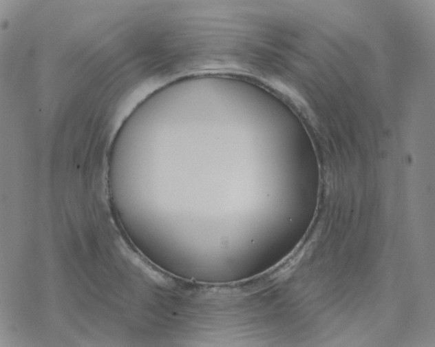 X0000073931374200609011823