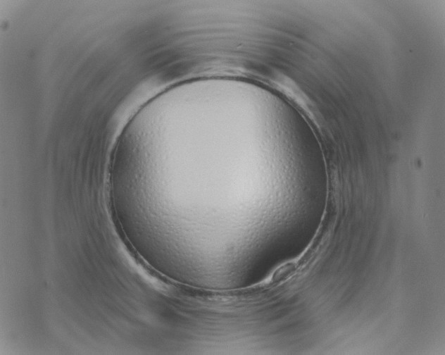 X0000073931379200609011823