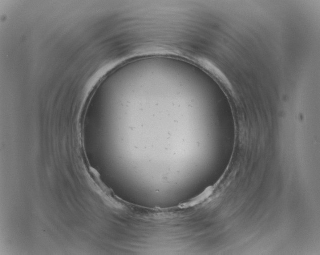 X0000073931380200609011823