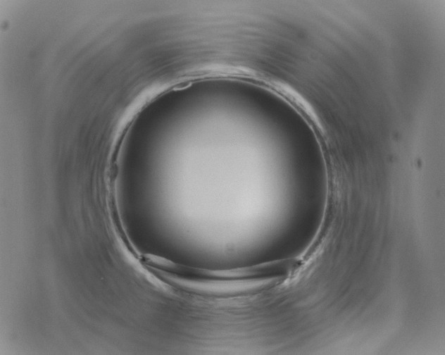 X0000073931381200609011823