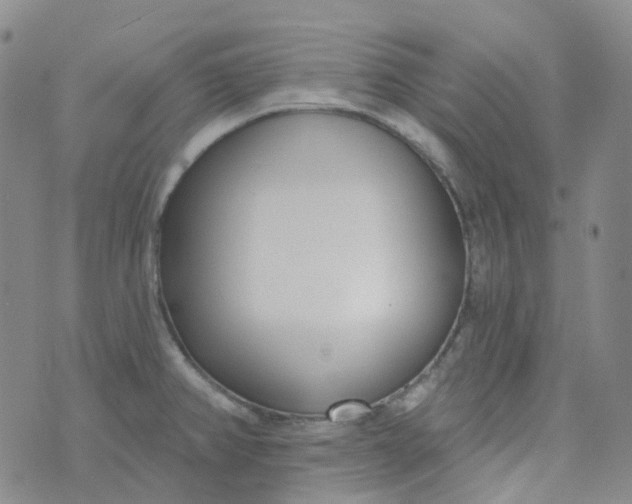 X0000073931382200609011823