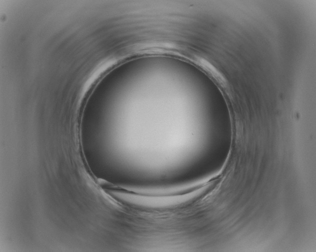 X0000073931384200609011823