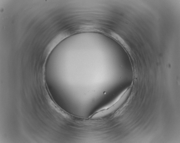 X0000073931386200609011823